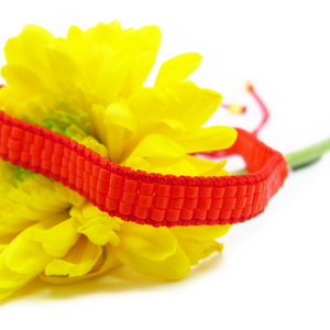 PULSERA LUNA ROJA