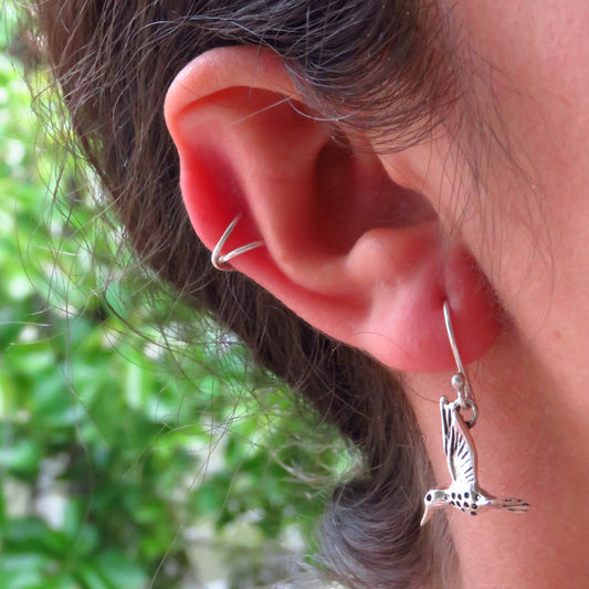 PENDIENTES COLIBRÍ
